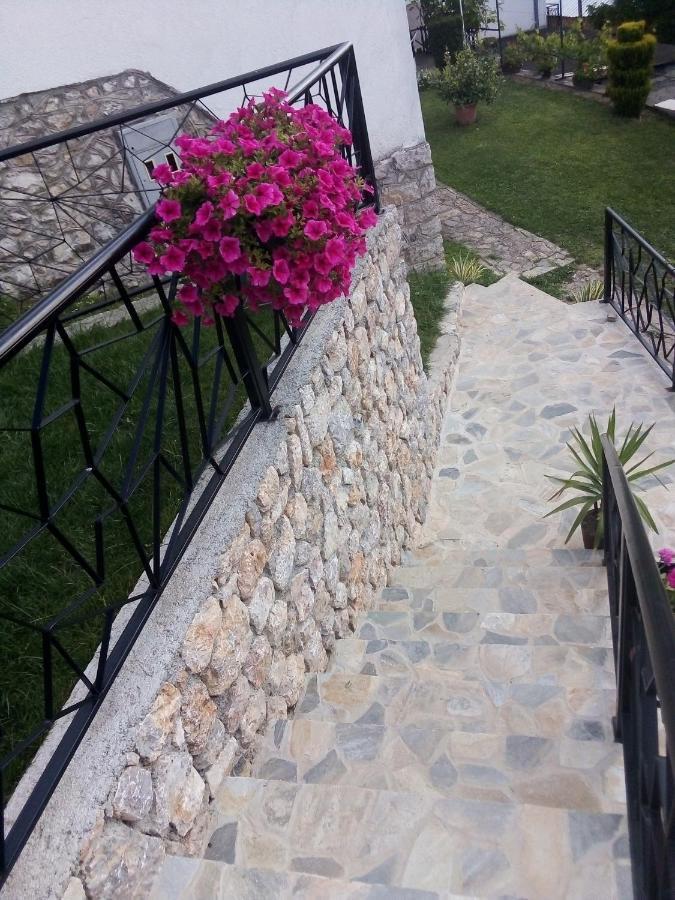 Guest House Stevovski Elshani Экстерьер фото