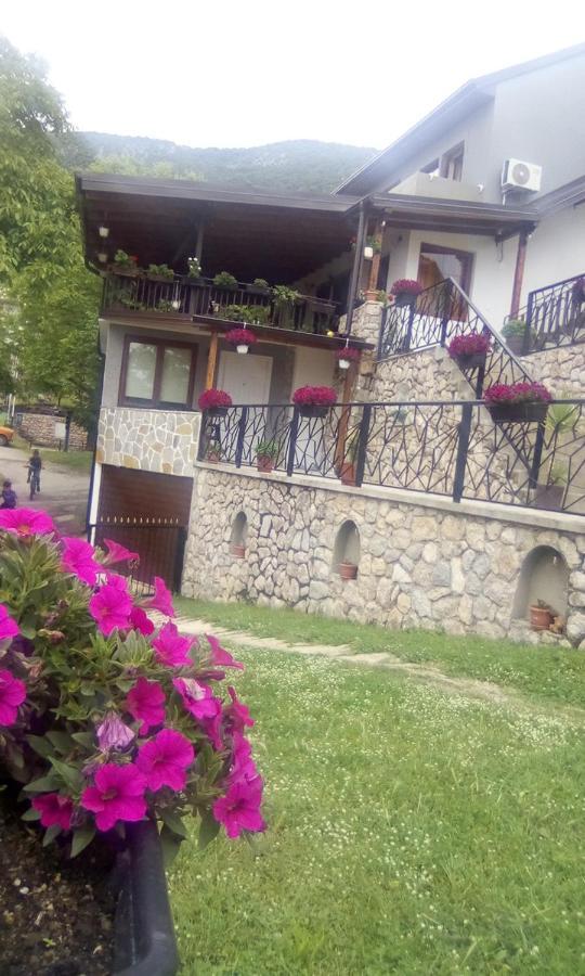 Guest House Stevovski Elshani Экстерьер фото
