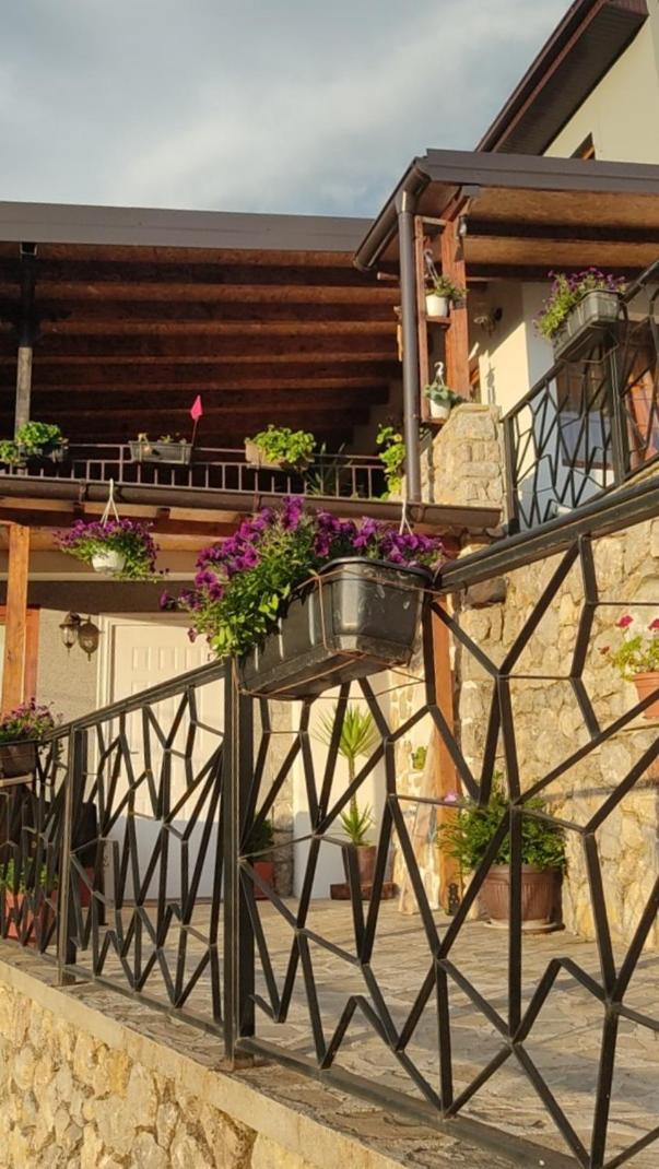 Guest House Stevovski Elshani Экстерьер фото
