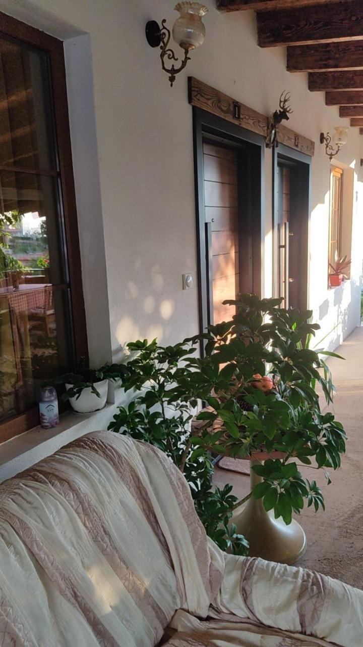 Guest House Stevovski Elshani Экстерьер фото
